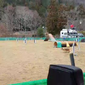 ２０１９、１、１２　STEPinUP練習会　沙羅AG1.5の画像