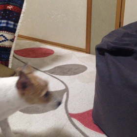 眠れない夜にの画像