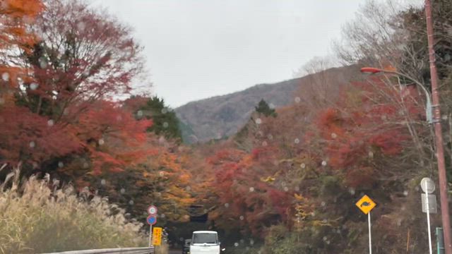 御殿場プレミアムアウトレットの記事動画