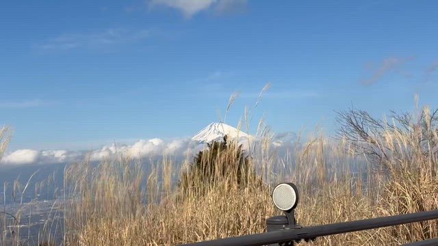 河津桜の旅二日目の記事動画