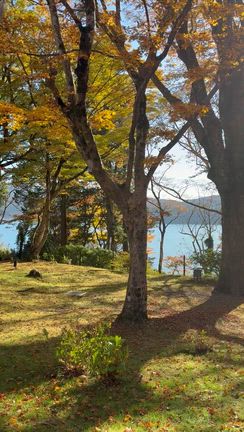 紅葉の小径の記事動画