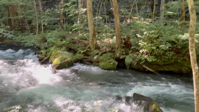 マイナスイオンをご一緒にの記事動画