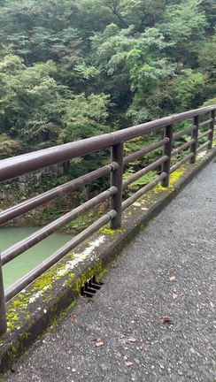 鬼怒川のマイナスイオンの記事動画