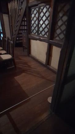 あなたはなぜ人間に生まれたのか？の記事動画