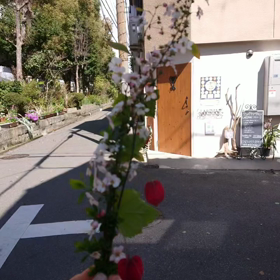 ◯◯すぎの画像