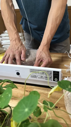 虫がいる小麦粉？？【魔法の小麦粉】販売開始です♪の記事動画