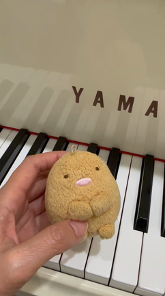 左手のアルペジオの練習の記事動画