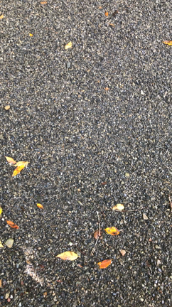 先日の奈良の動画☆①の記事動画