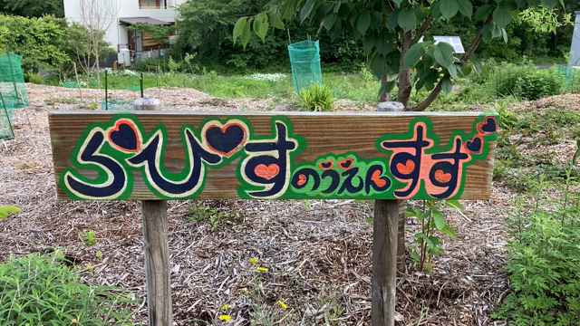 ラピス農園「すず」の記事動画
