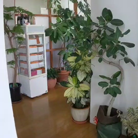 お店の雰囲気の画像