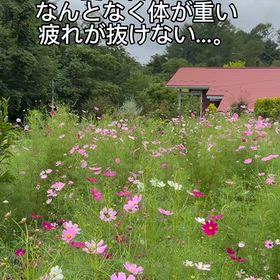 夏の肌の疲れをリセットの画像