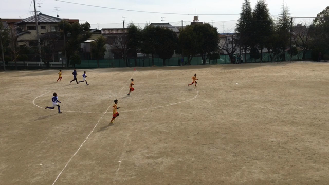 活動報告の記事動画