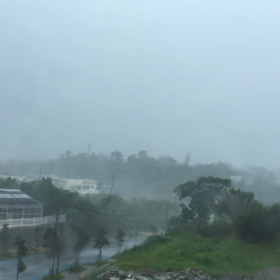 強烈な台風の画像