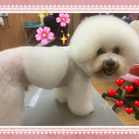 スピードトリミ ングについての画像