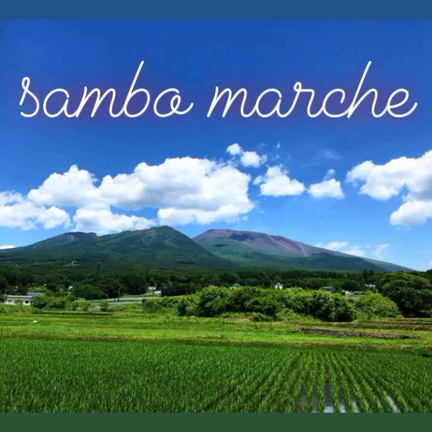 サンボマルシェの記事動画