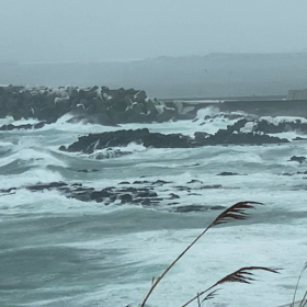 日本海、荒れて来た〜！の画像