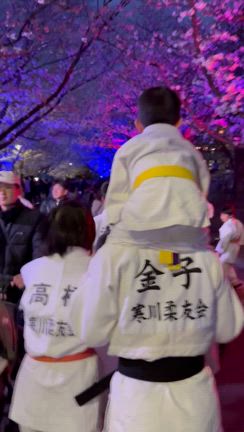 寒川中央公園桜ライトアップに行ってきましたの記事動画
