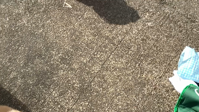 ILOVEみんなのどうぶつ園で、藤岡弘、サバイバル術⁉️の記事動画