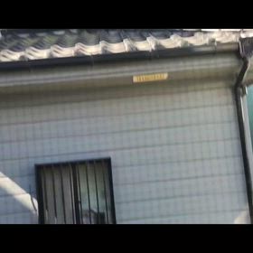 野鳥の鳴き声の画像