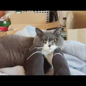 何してるのの画像