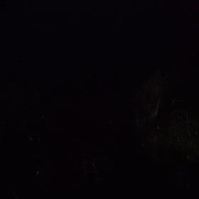 夜の散歩の画像