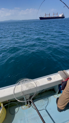 ✨関門神生丸✨『ＳＳＴ』※スーパーシャローテンヤ‼️の記事動画