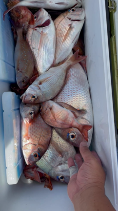 ✨関門神生丸✨『ＳＳＴ』※スーパーシャローテンヤ‼️の記事動画