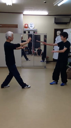 はい。武術です。の記事動画