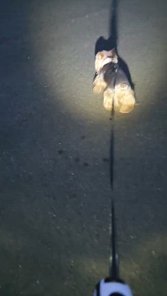 新しいリードの記事動画