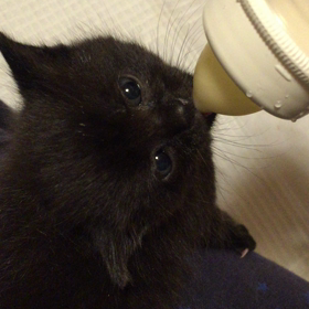 飲んでばっかり。の画像
