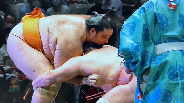 大相撲夏場所　八日目の記事動画