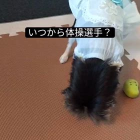 2024/08/01の画像