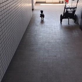 2026/05/21の画像