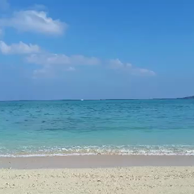 うれしい贈り物の画像