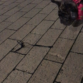 好奇心VS恐怖心の画像