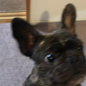 山もあるけど谷もあるの画像