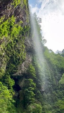 風に吹かれて届け　隠岐の島の風の記事動画