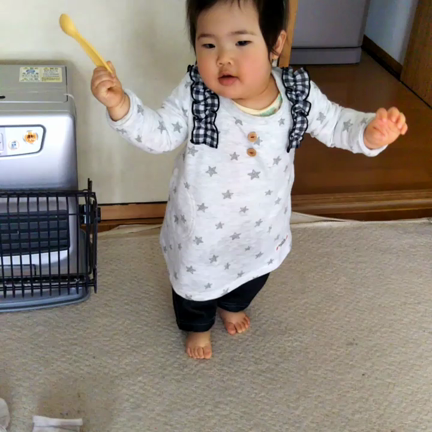 11月13日 初めての一歩。の記事動画