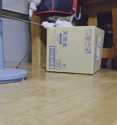 第35回　性的同意は世界を救うの記事動画