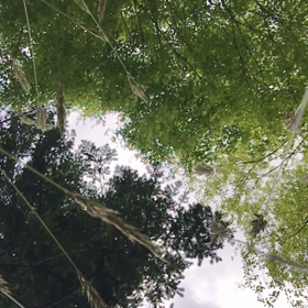 ありがとうの画像