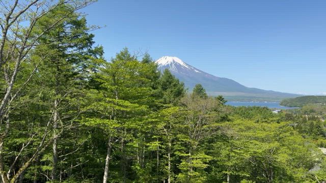 銀河連合特使のエレナ・ダナーンさんと富士山へ　の記事動画