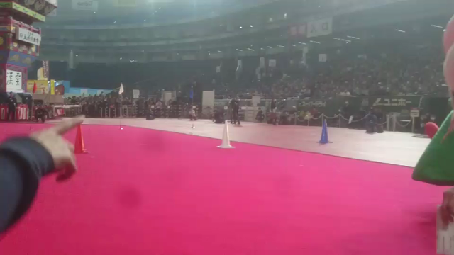 体育祭と文化祭(ふるさと祭り東京)の記事動画