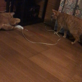 一人遊びの画像