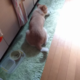 サインの画像