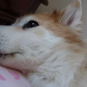 私を構成する成分は・・・の画像
