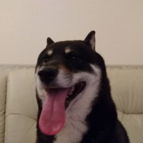 パニックの画像
