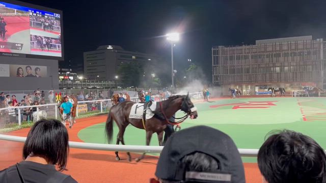充実した盆休みの記事動画