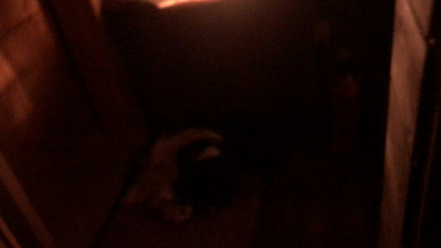 サウナ堂で初めて整う経験しました…(*ﾟДﾟ)の記事動画
