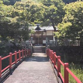 ウグイスの画像
