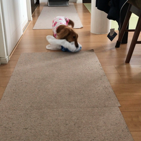 はしゃぐ  あかねの画像